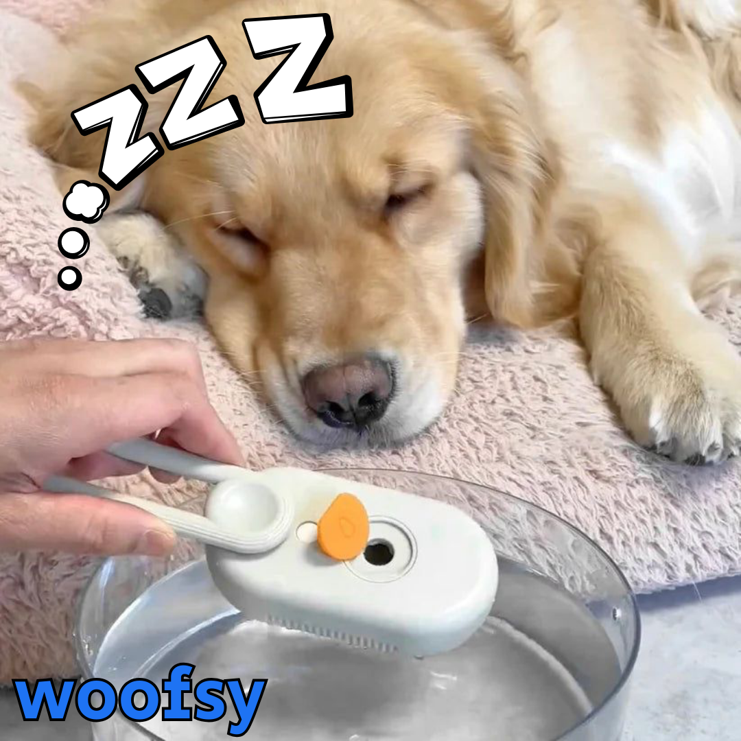 מברשת קיטור לניקוי פרווה