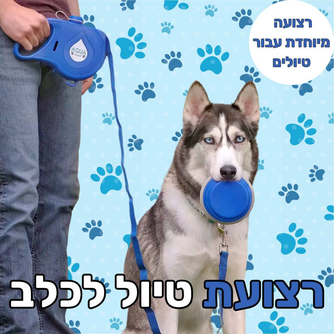 רצועת טיול לכלב