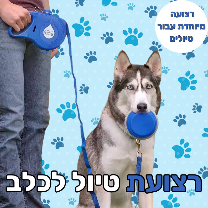רצועת טיול לכלב