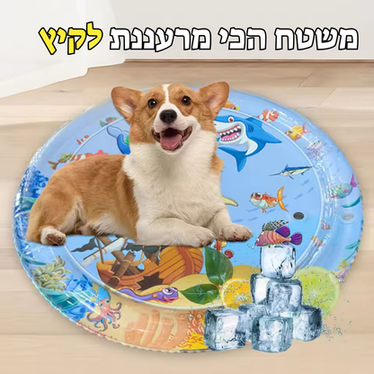 משטח קירור לחיות מחמד