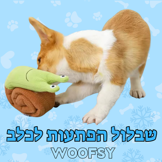 שבלול הפתעות לכלב