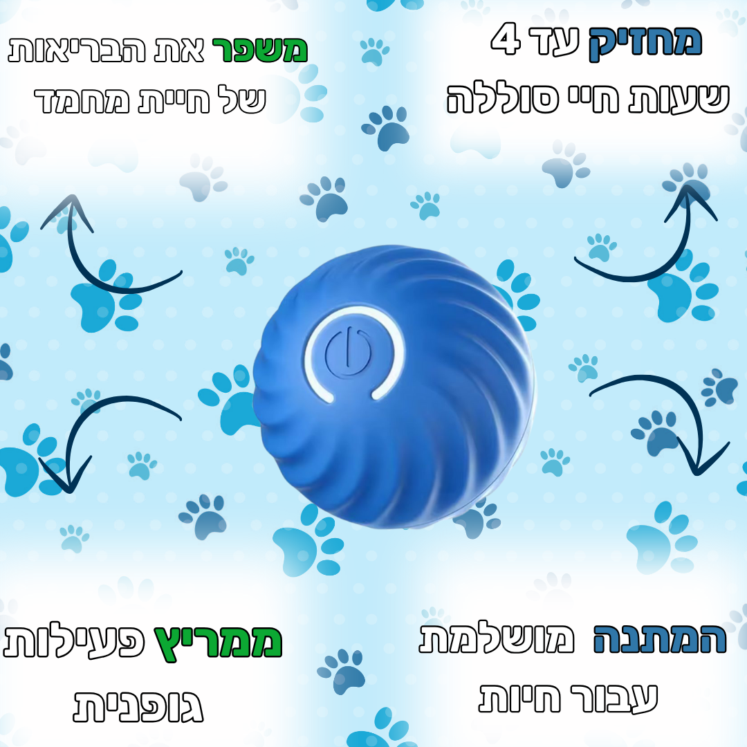 כדור  אינטרקטיבי  לחיות מחמד