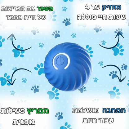 כדור  אינטרקטיבי  לחיות מחמד