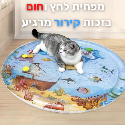 משטח קירור לחיות מחמד