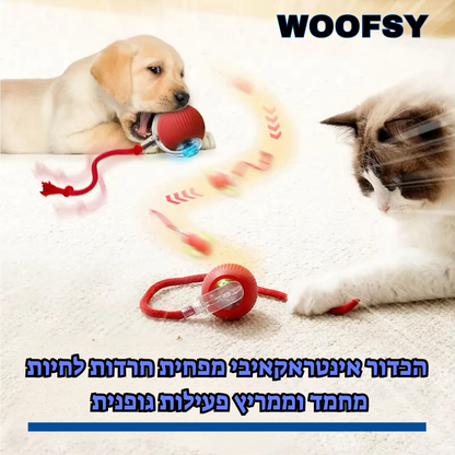 כדור רצועה לחיות מחמד