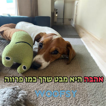שבלול הפתעות לכלב