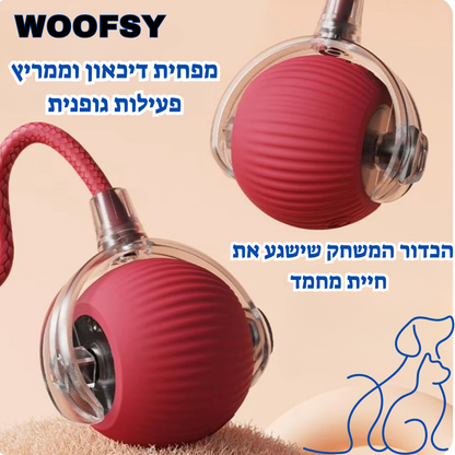 כדור רצועה לחיות מחמד