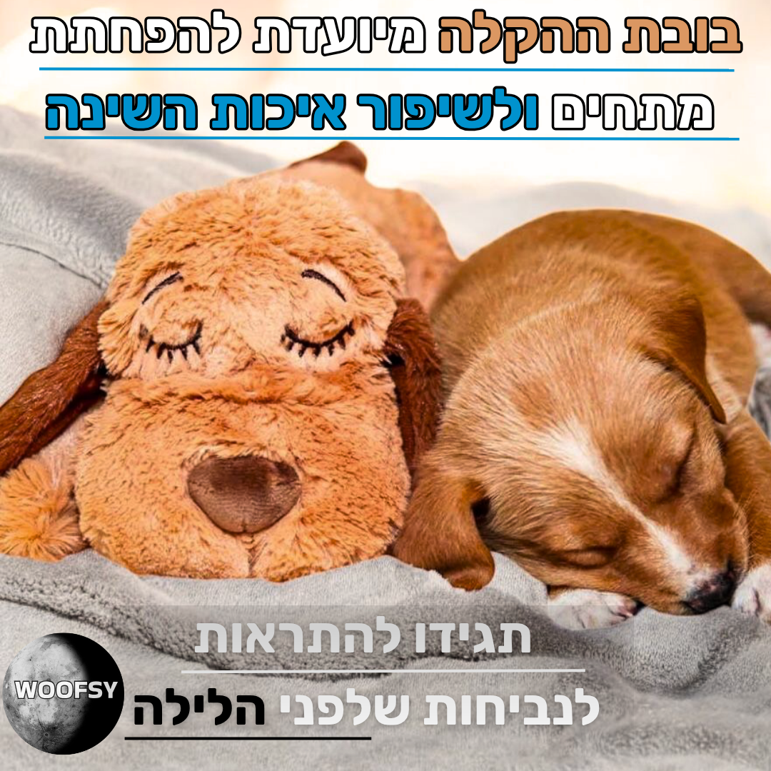 בובת שינה לכלבים