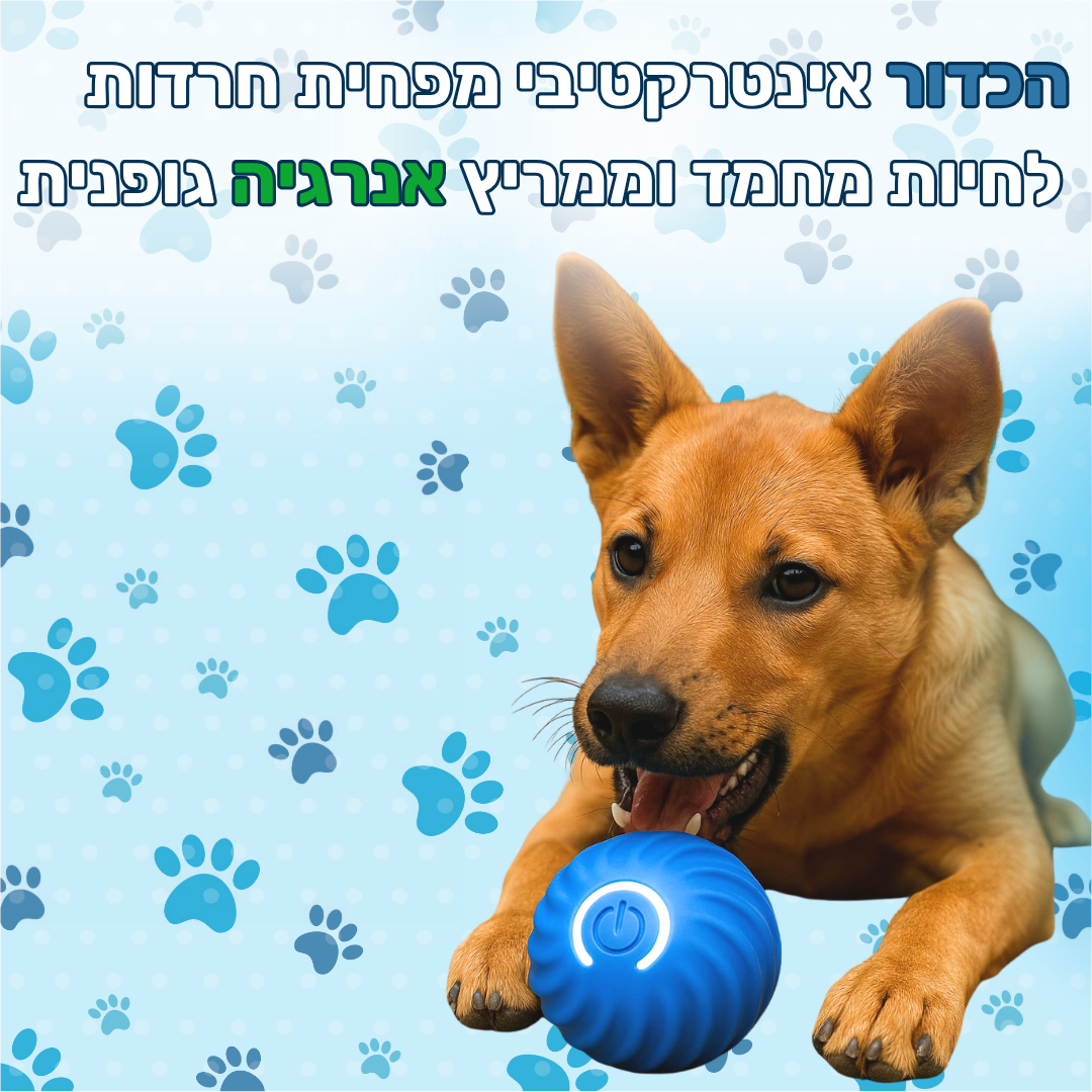 כדור  אינטרקטיבי  לחיות מחמד