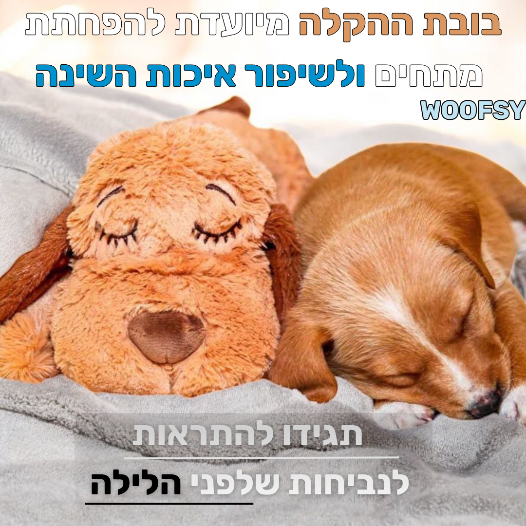 בובת שינה לכלבים