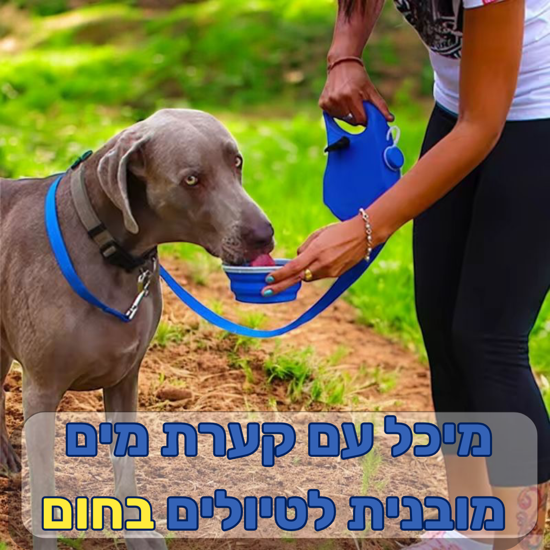 רצועת טיול לכלב