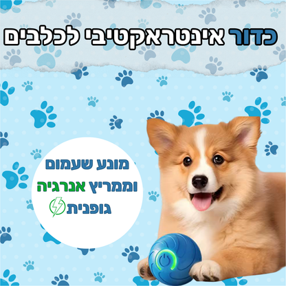 כדור  אינטרקטיבי  לחיות מחמד