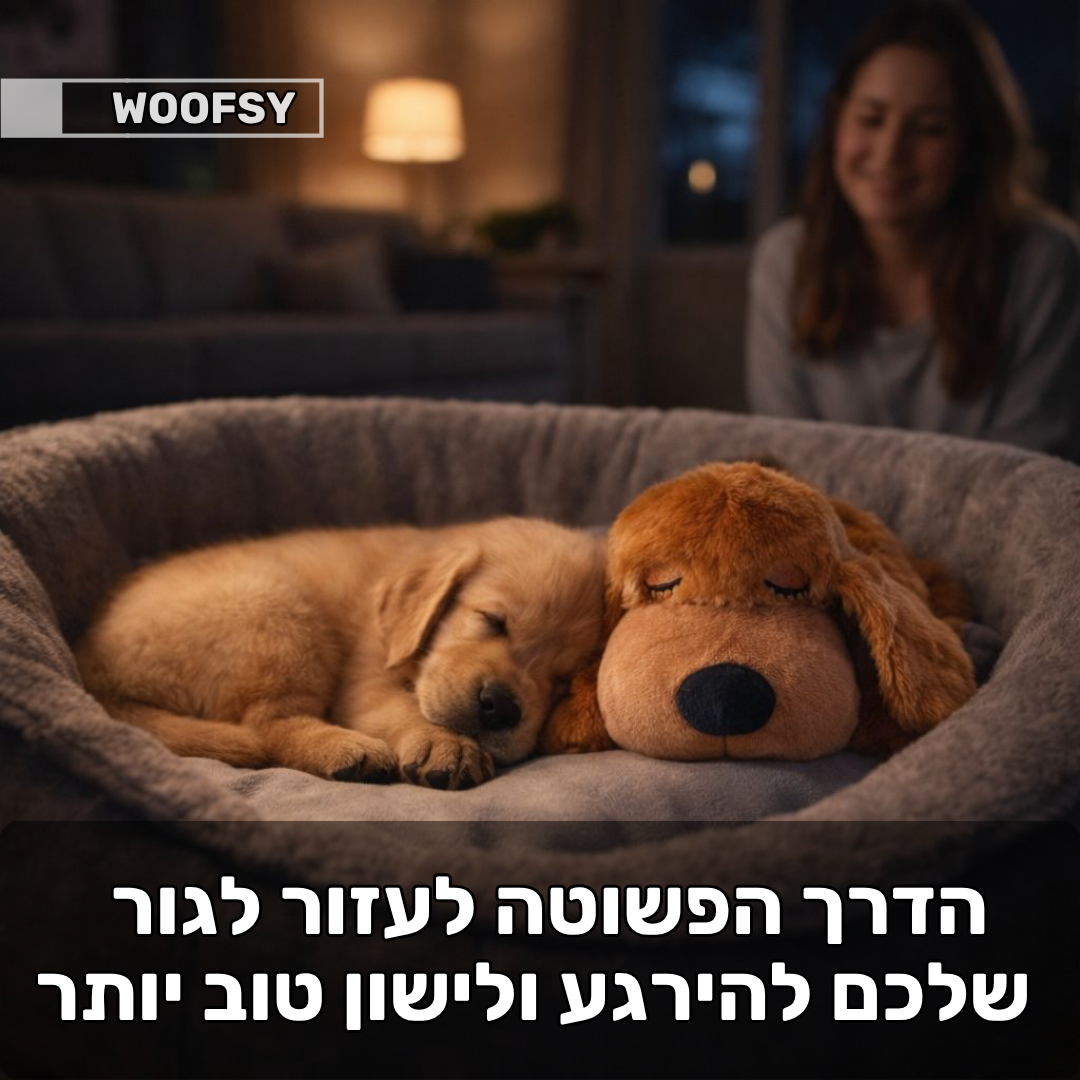 בובת שינה לכלבים
