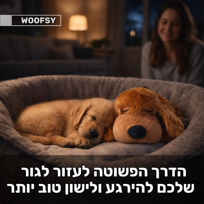 בובת שינה לכלבים