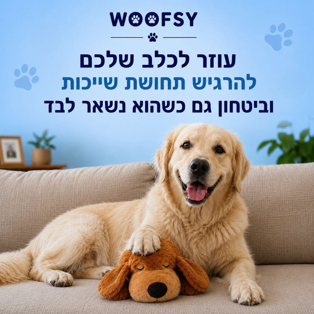 HertBuddy - בובת פעימות לכלב