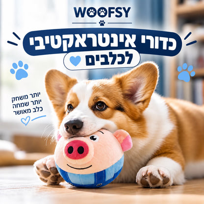 כדור  אינטרקטיבי  לחיות מחמד