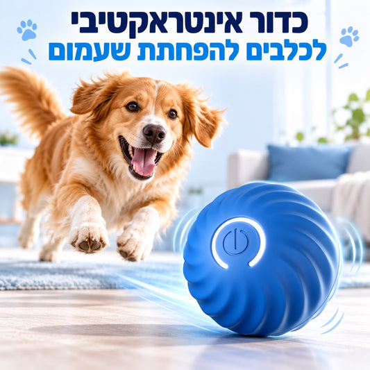 Woof Ball - כדור להוצאת אנרגיה לכלב