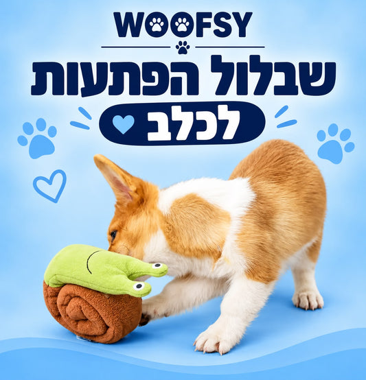 שבלול הפתעות לכלב